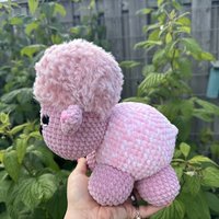 Schaap (weighted)