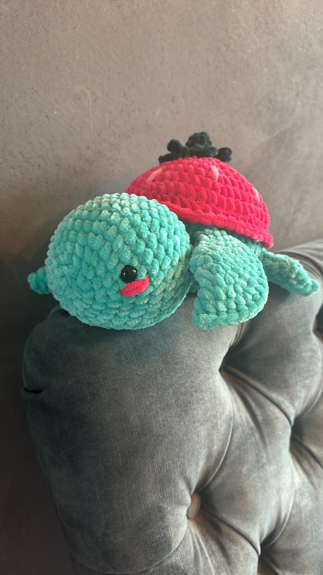 Strawberry Turtle