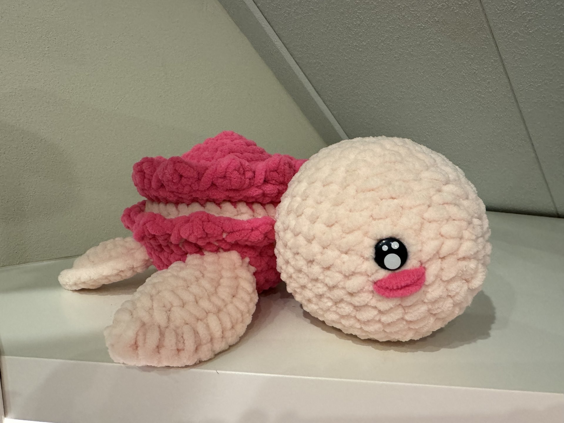 Macaron Turtle