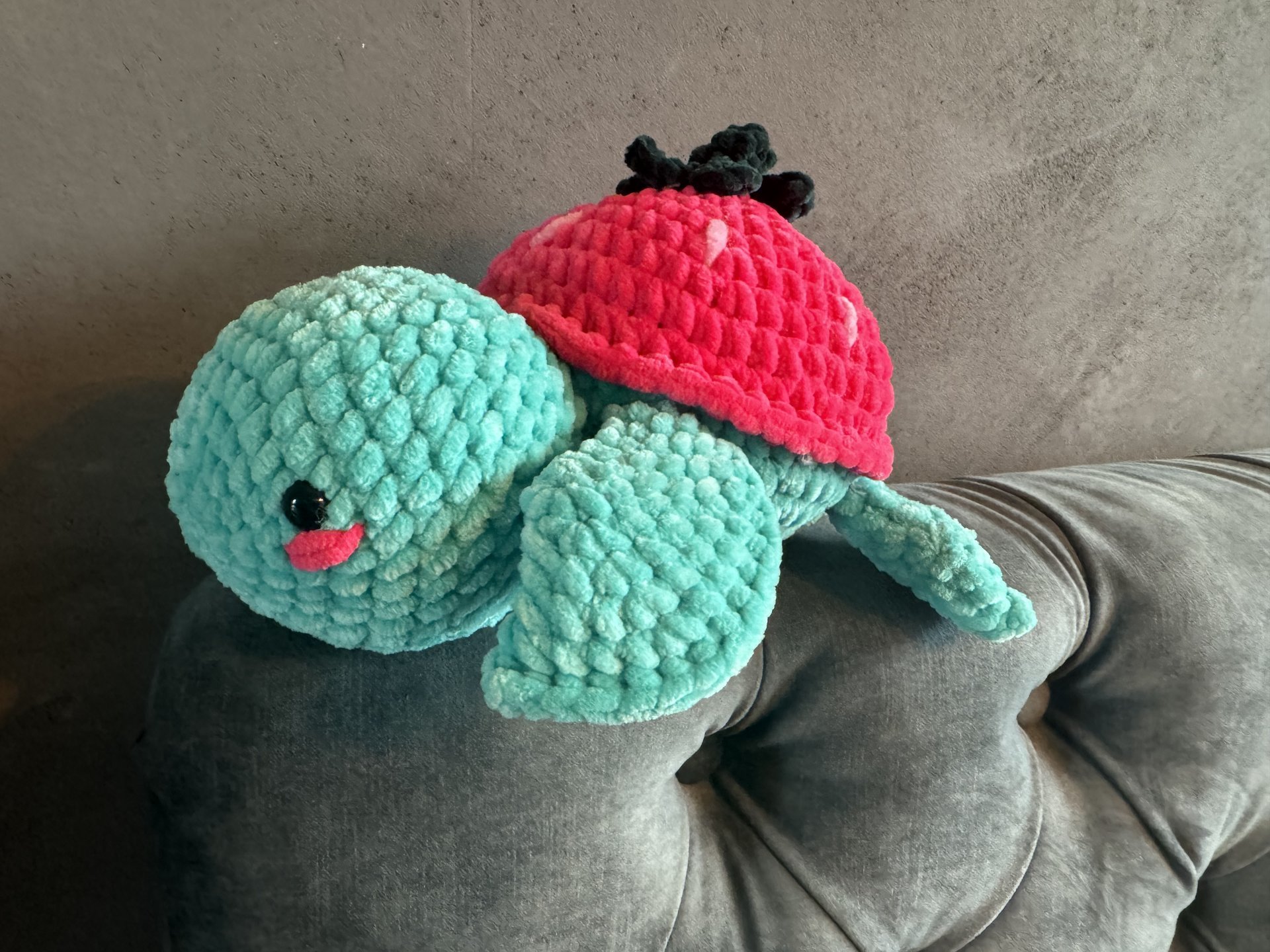 Strawberry Turtle