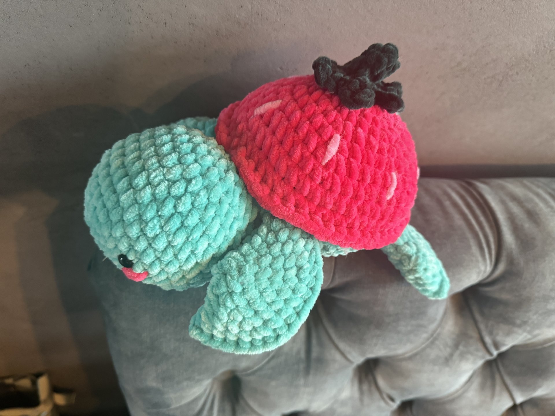 Strawberry Turtle