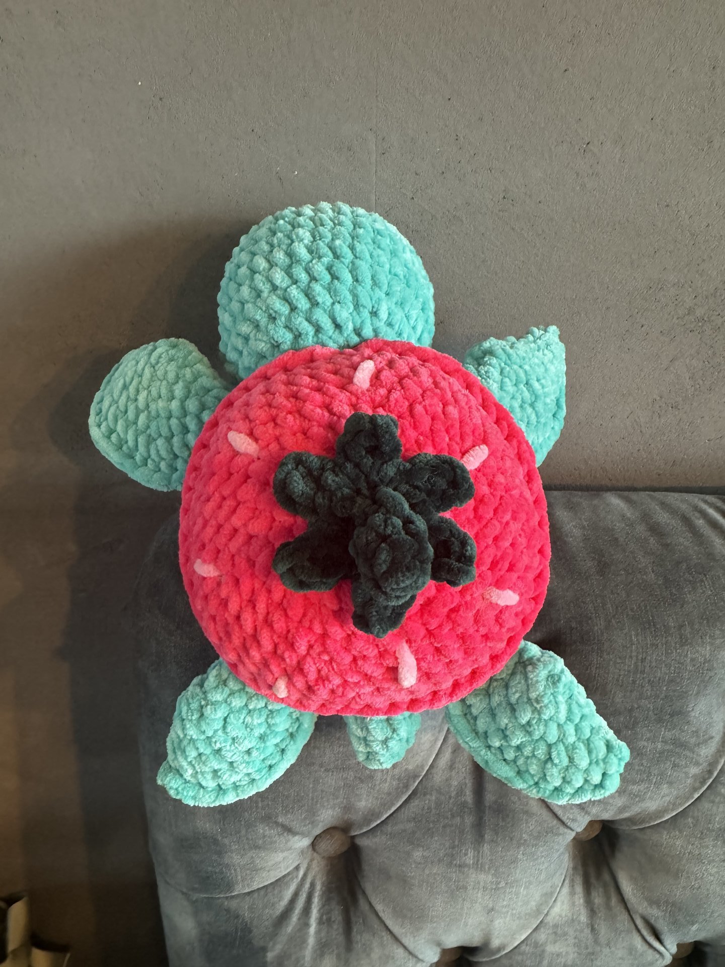 Strawberry Turtle
