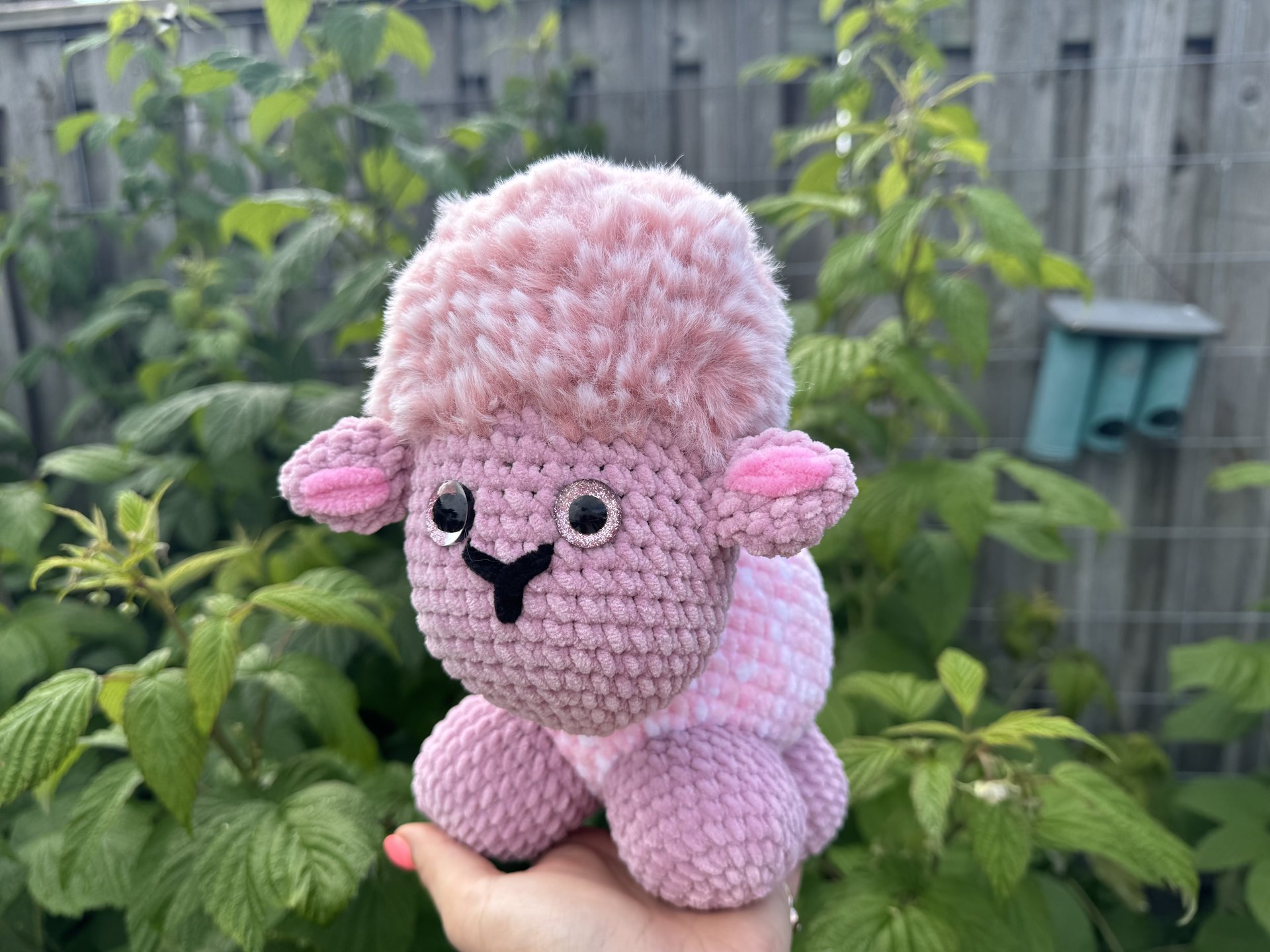 Schaap (weighted)