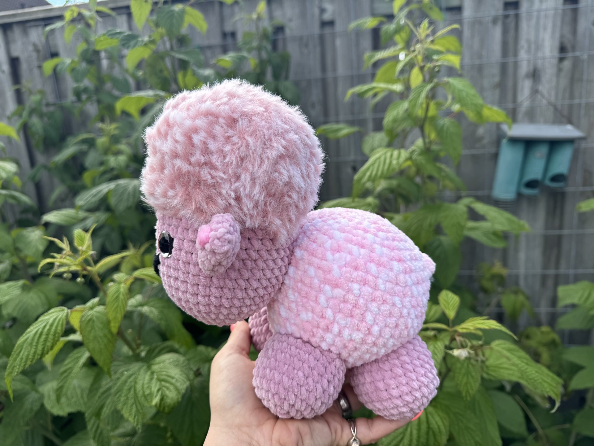 Schaap (weighted)