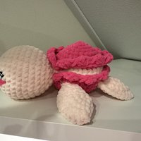 Macaron Turtle