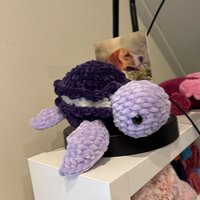 Macaron Turtle