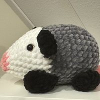 Buidelrat (Opossum)