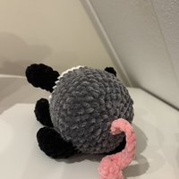 Buidelrat (Opossum)