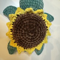 Sunflower Turtle