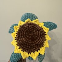Sunflower Turtle