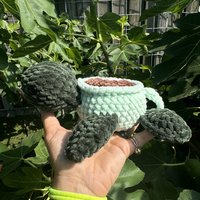 Cup Turtle