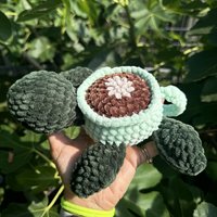 Cup Turtle