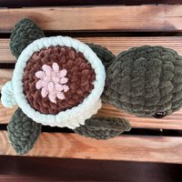 Cup Turtle