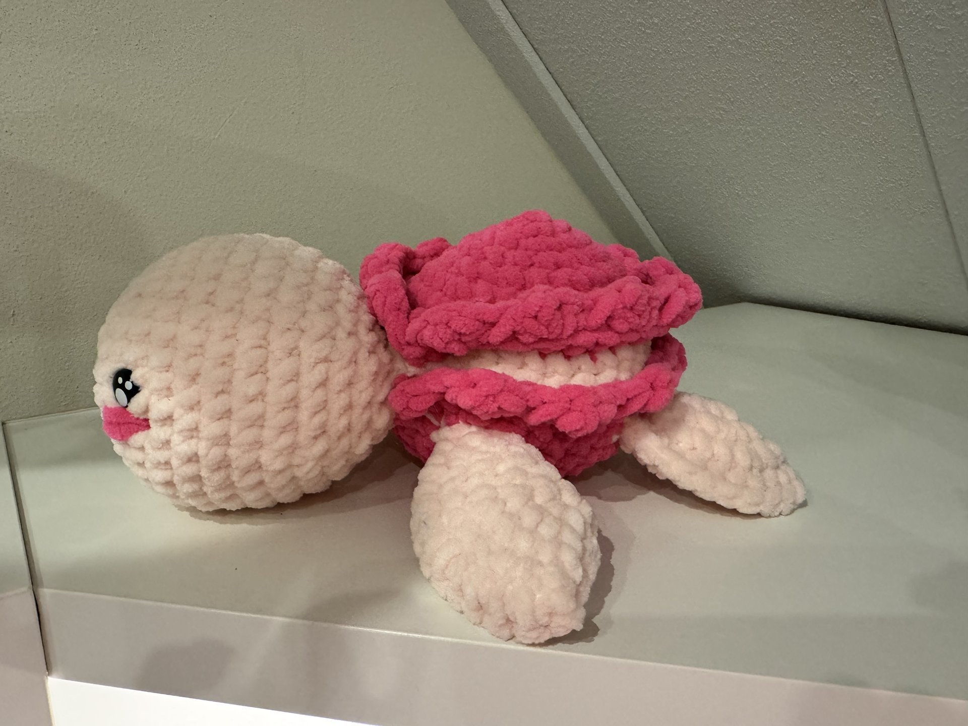 Macaron Turtle