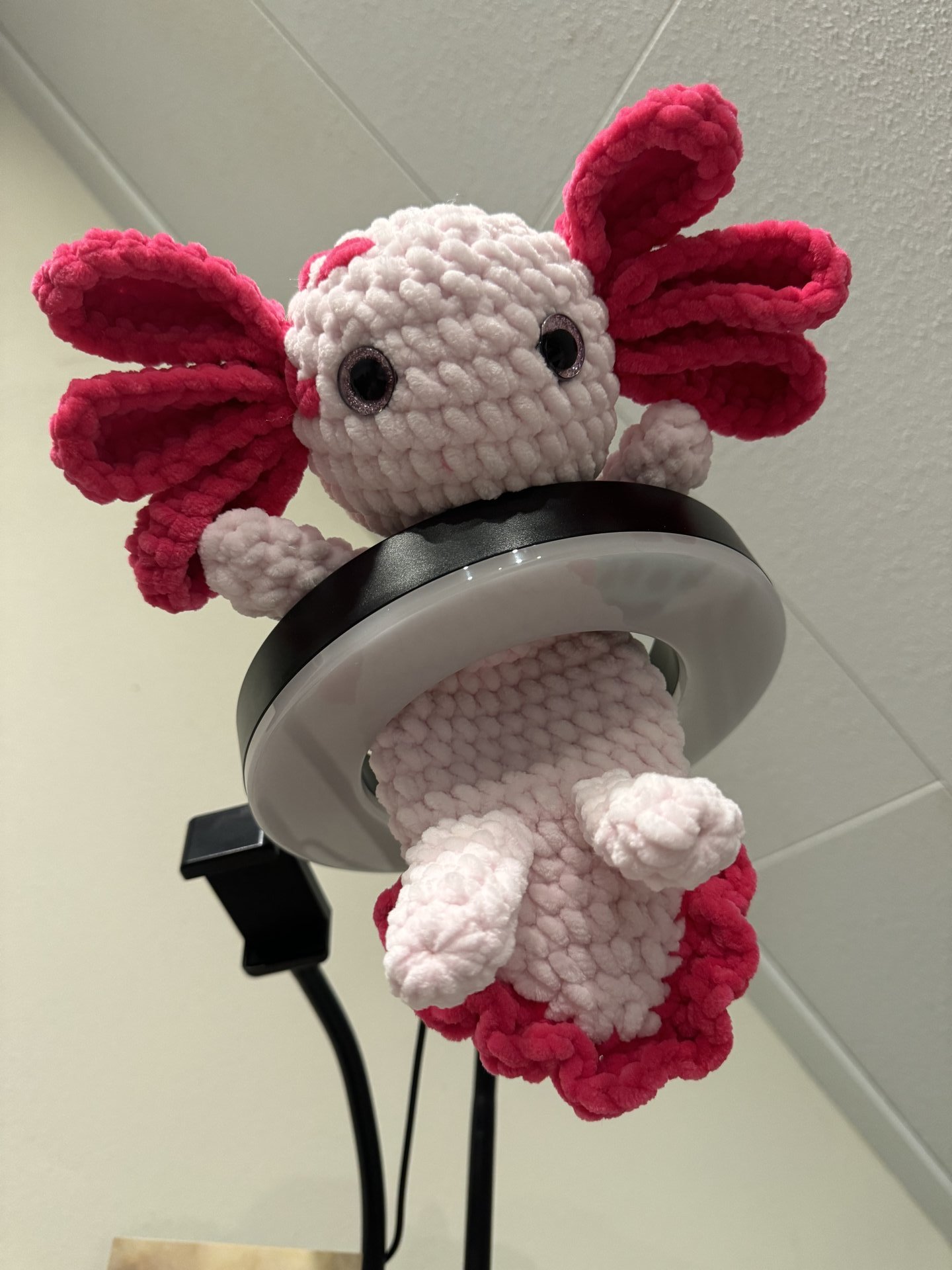 Axolotl snuggler