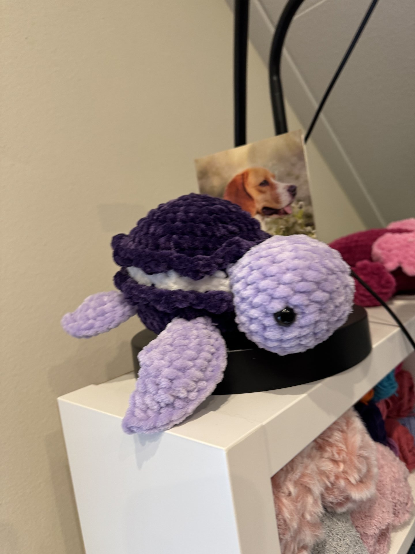 Macaron Turtle