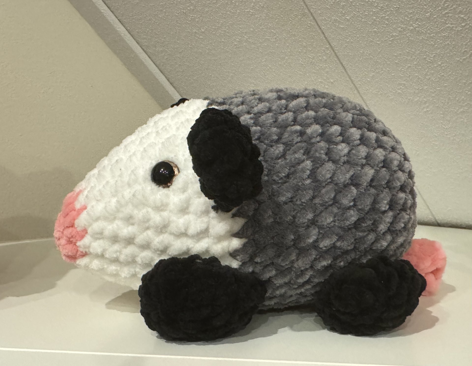 Buidelrat (Opossum)