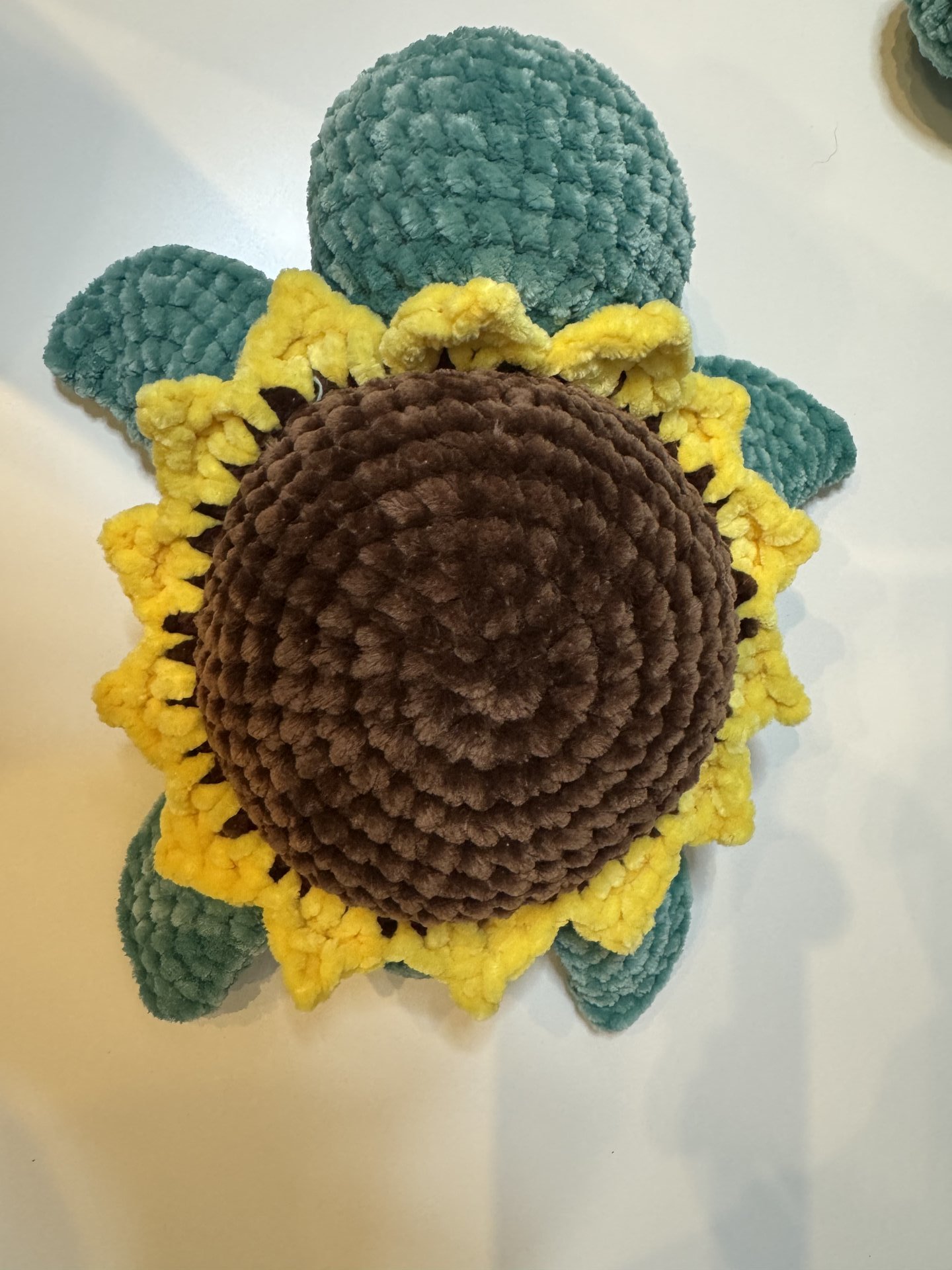 Sunflower Turtle