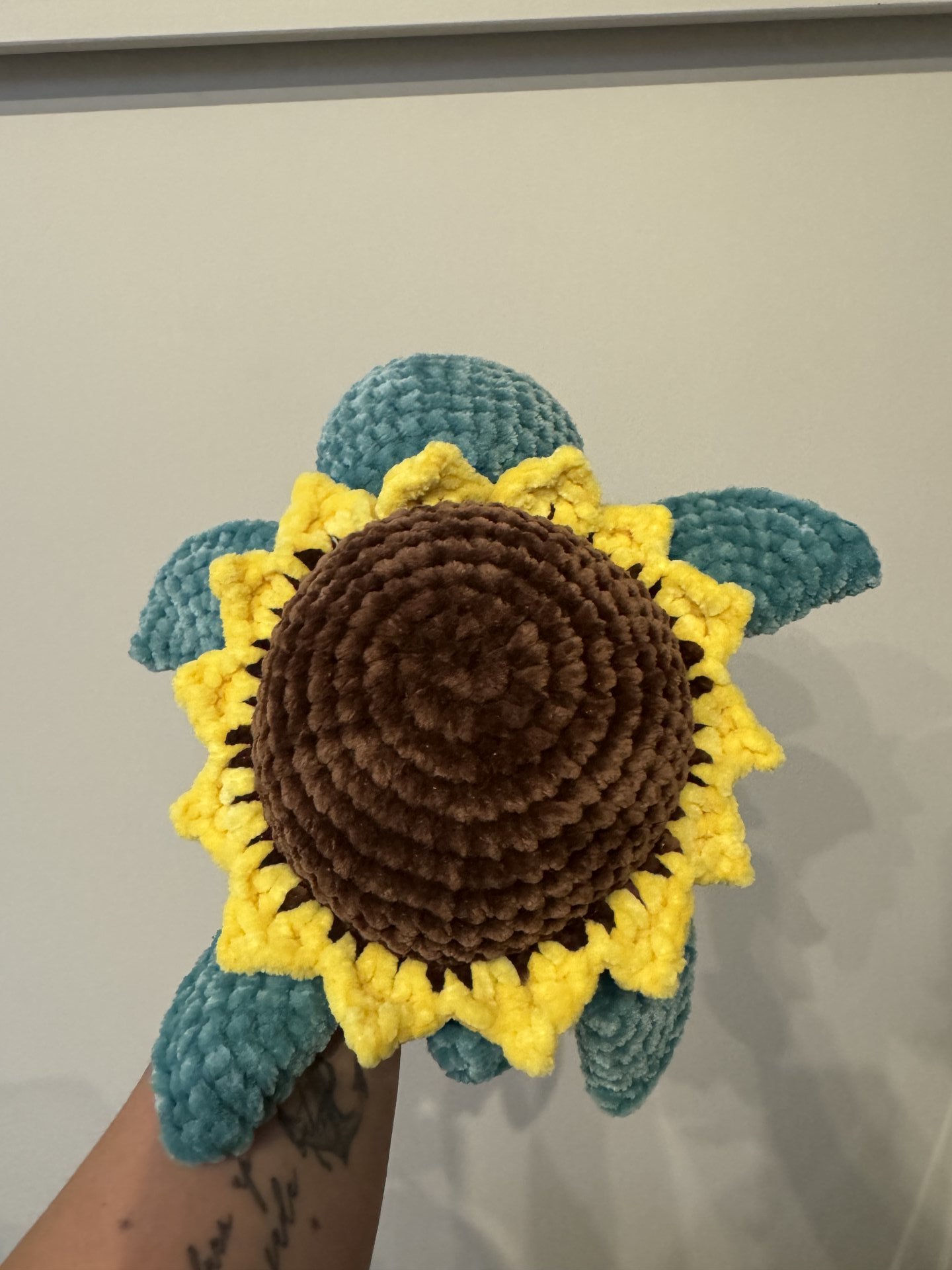 Sunflower Turtle