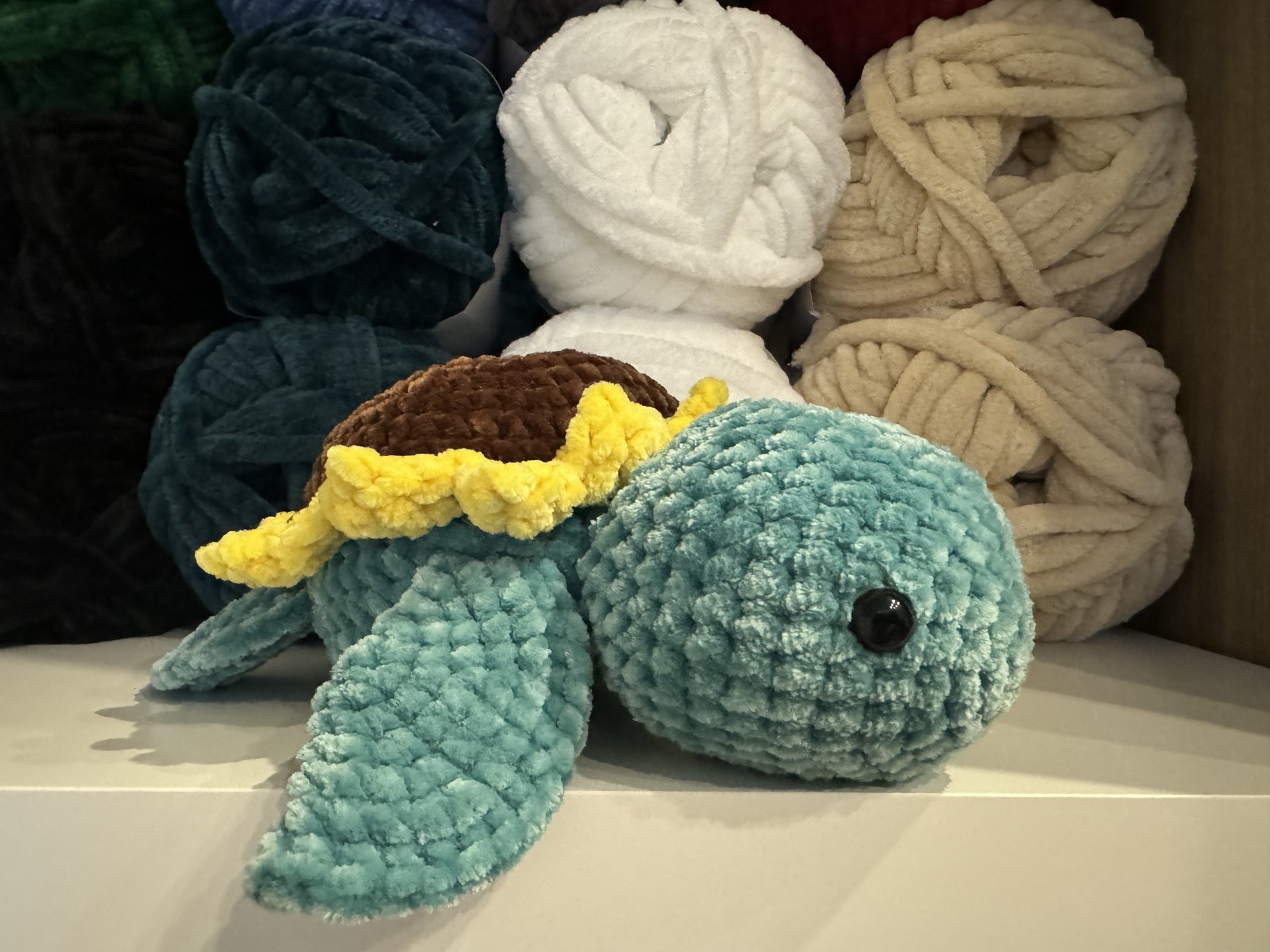 Sunflower Turtle