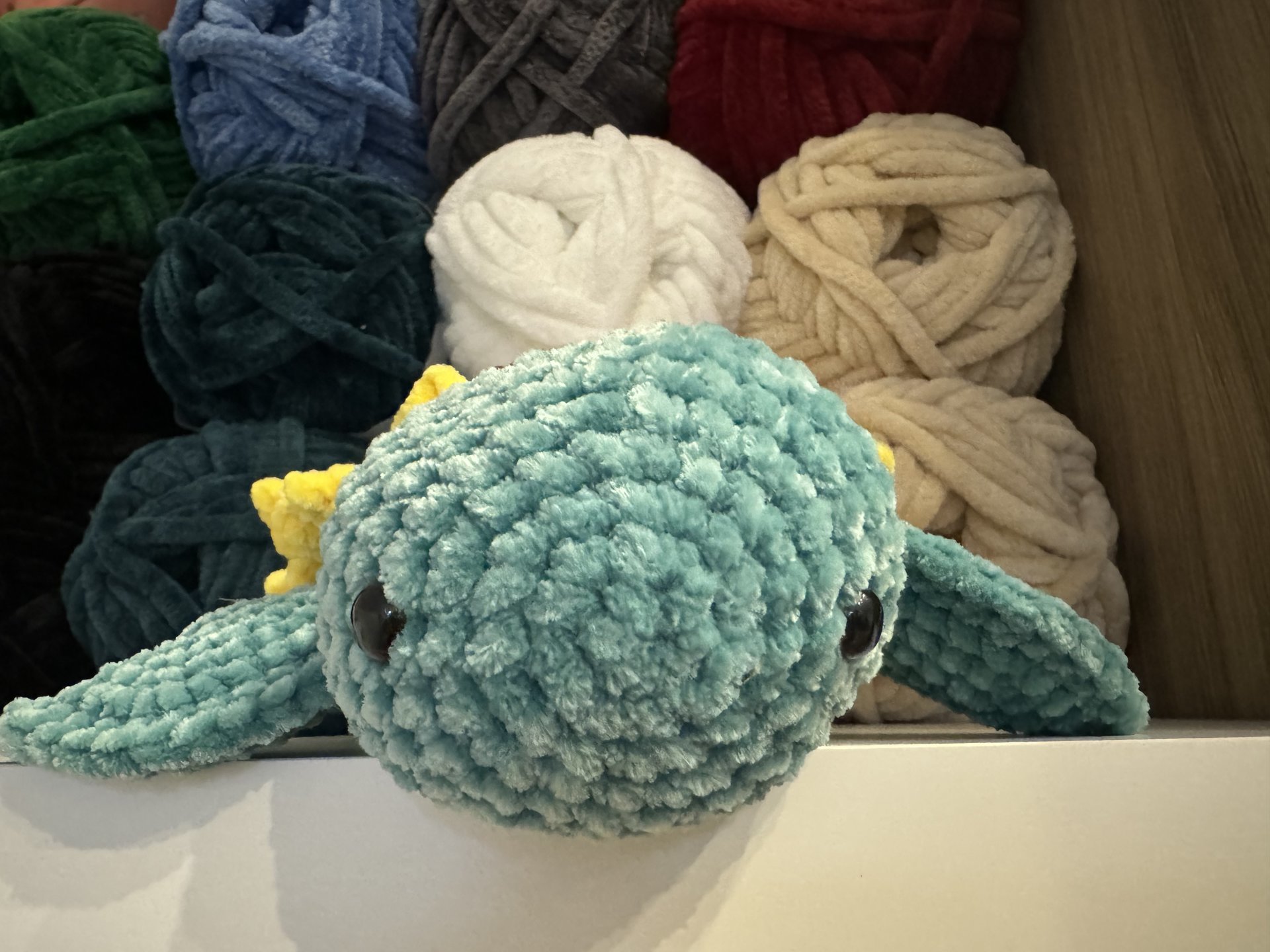 Sunflower Turtle