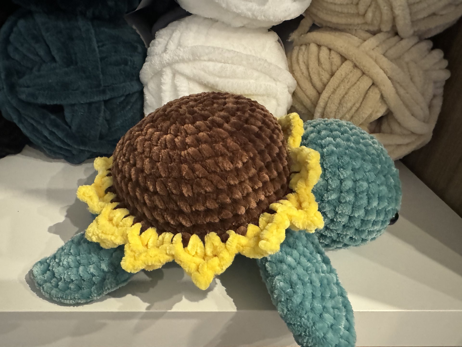 Sunflower Turtle