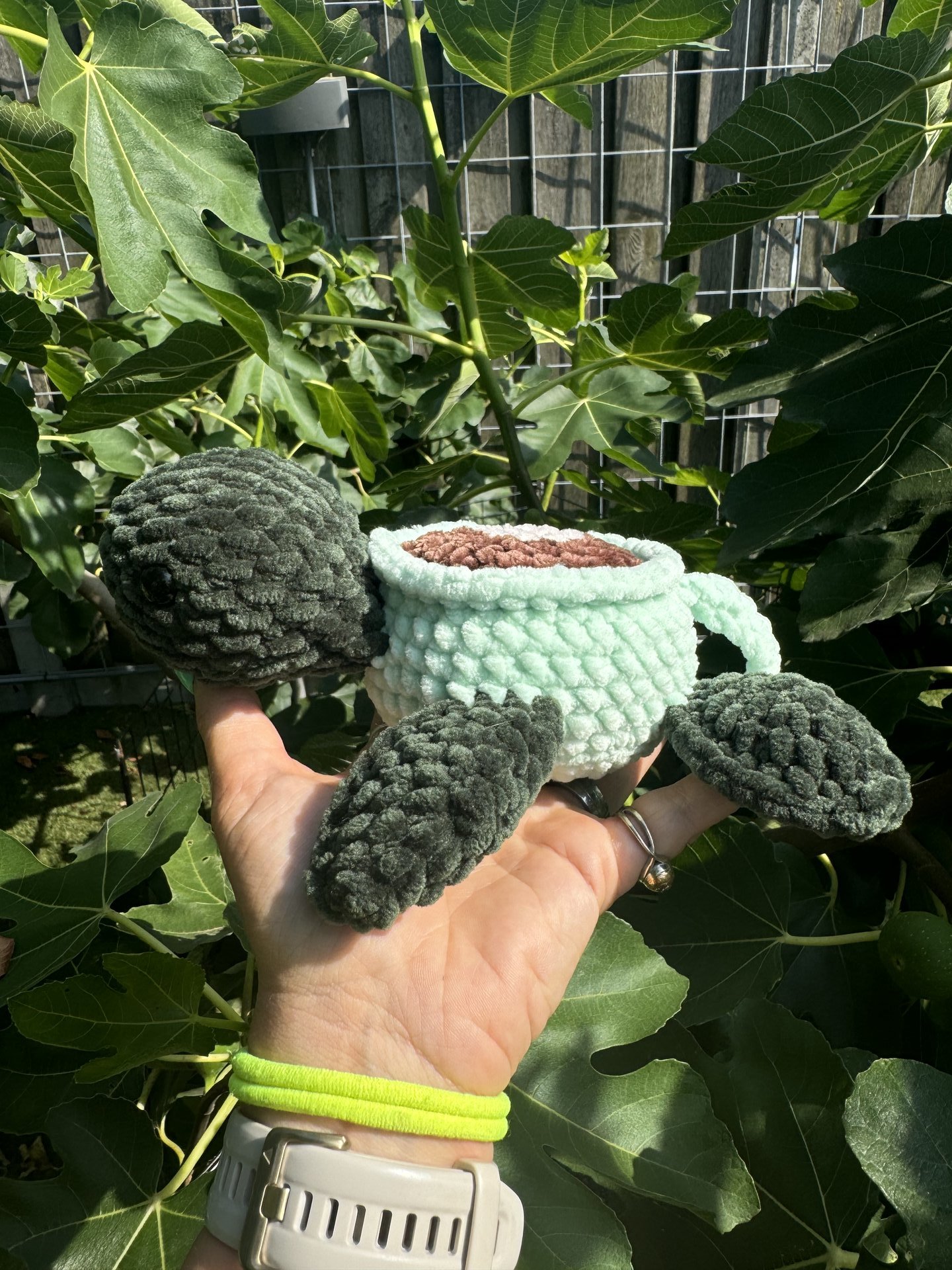 Cup Turtle