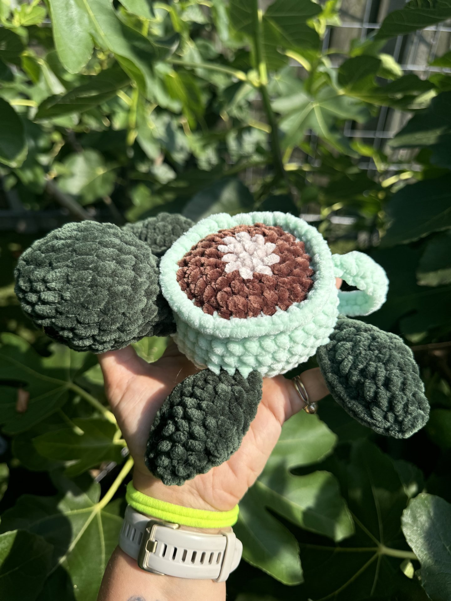 Cup Turtle