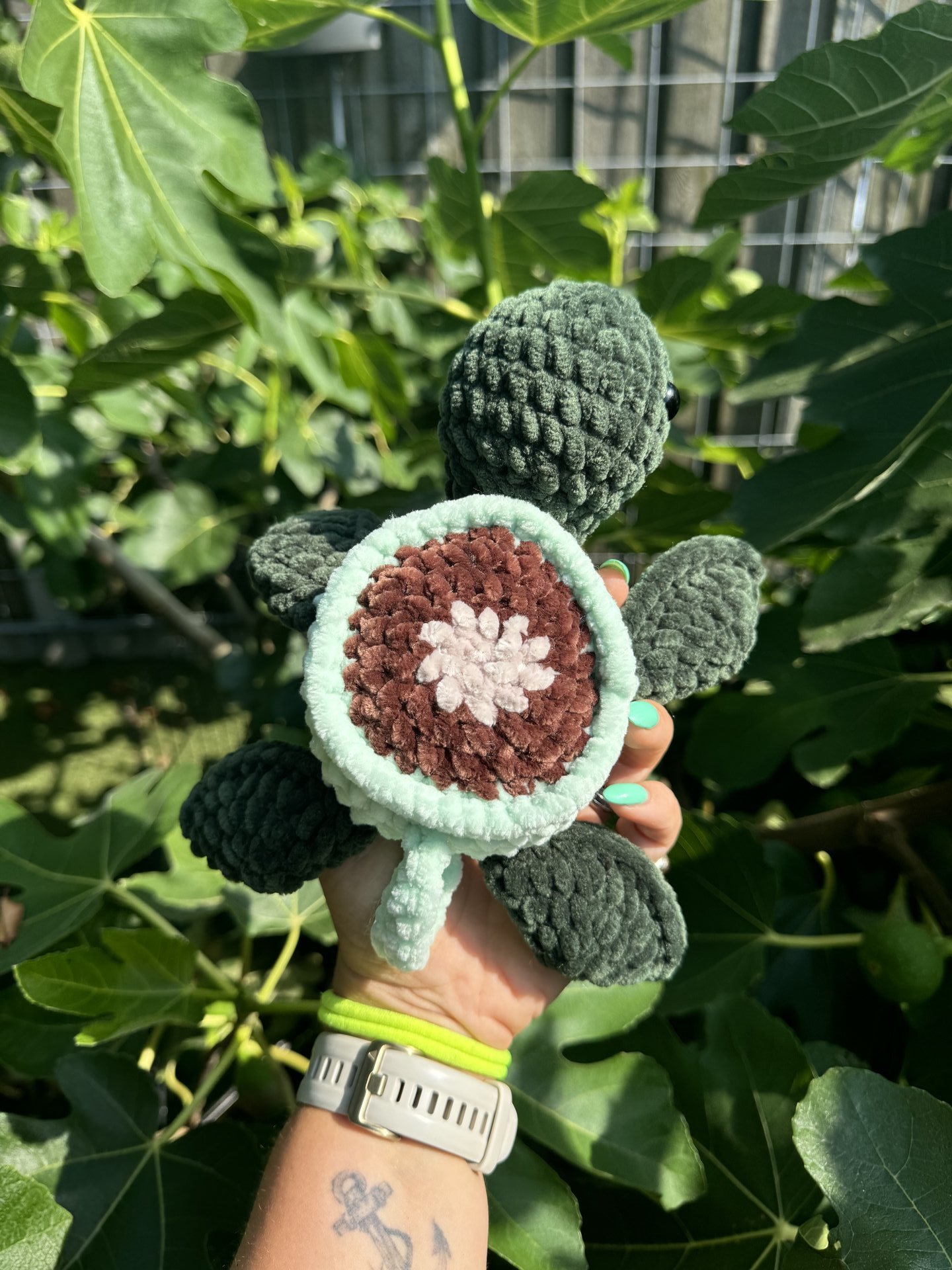 Cup Turtle