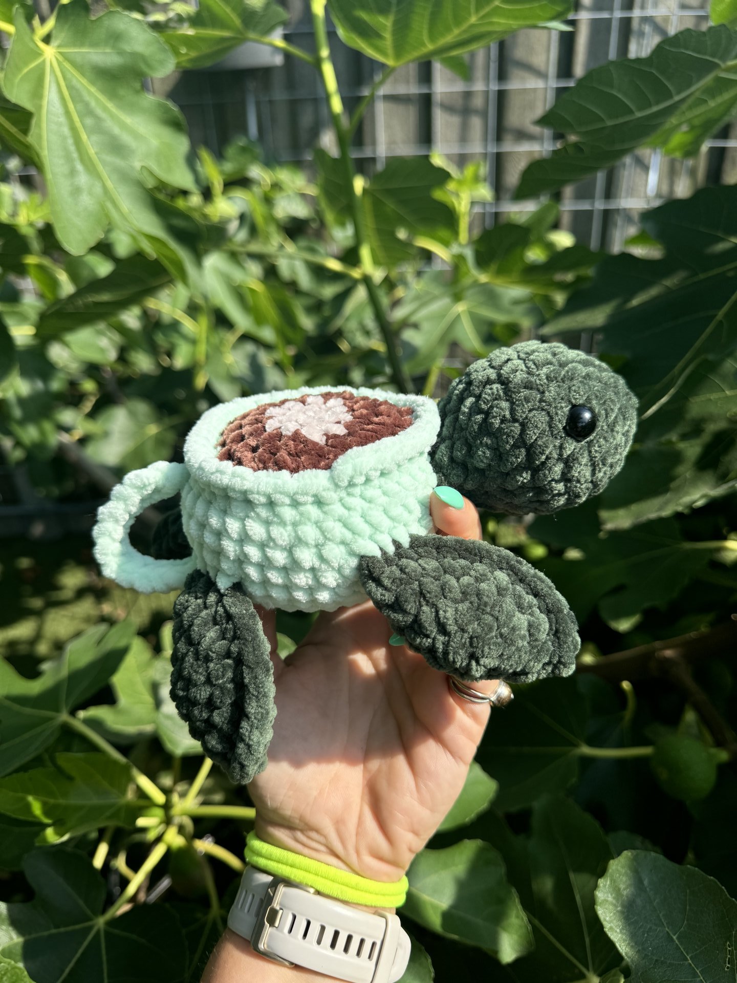 Cup Turtle