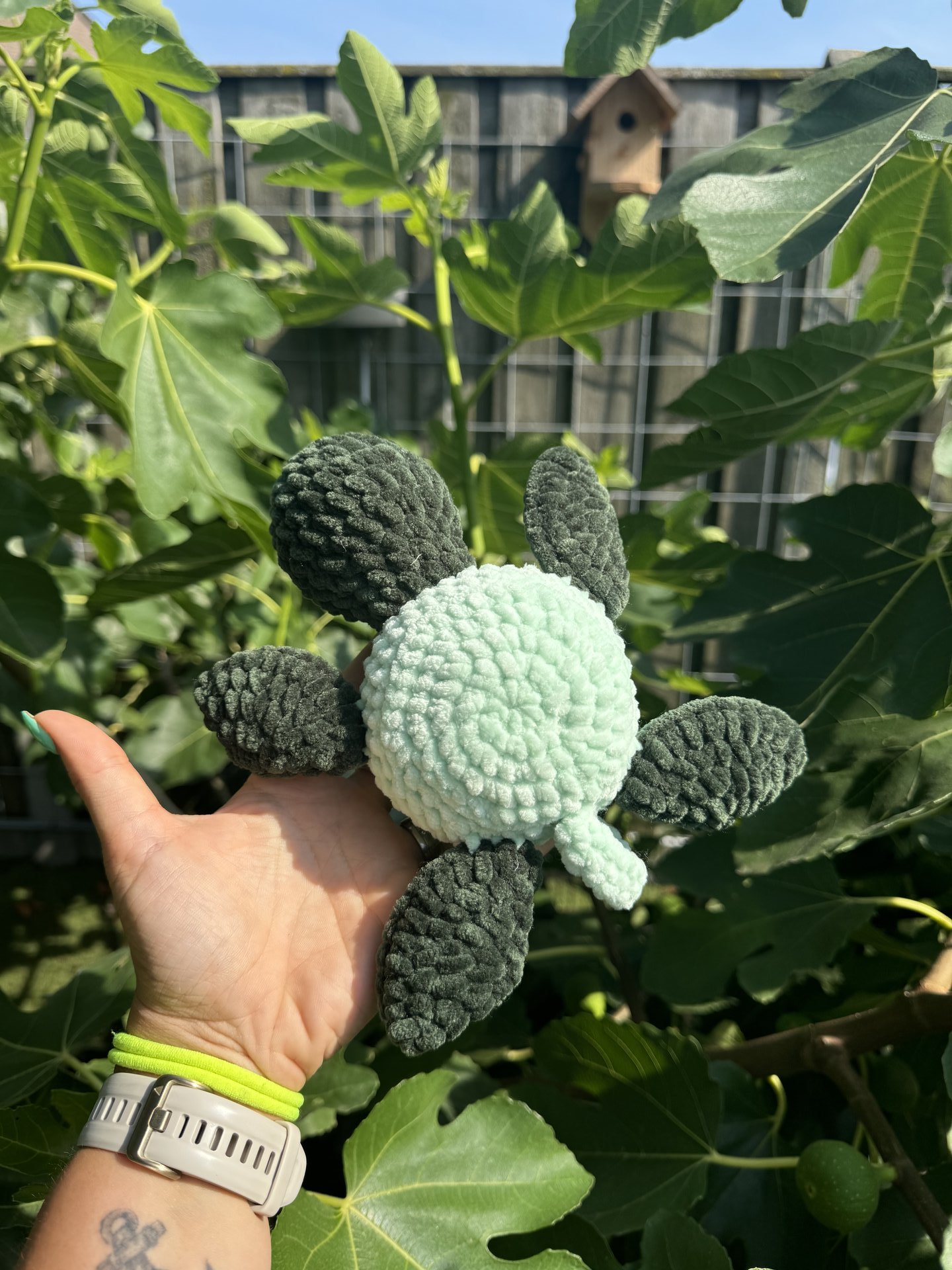 Cup Turtle