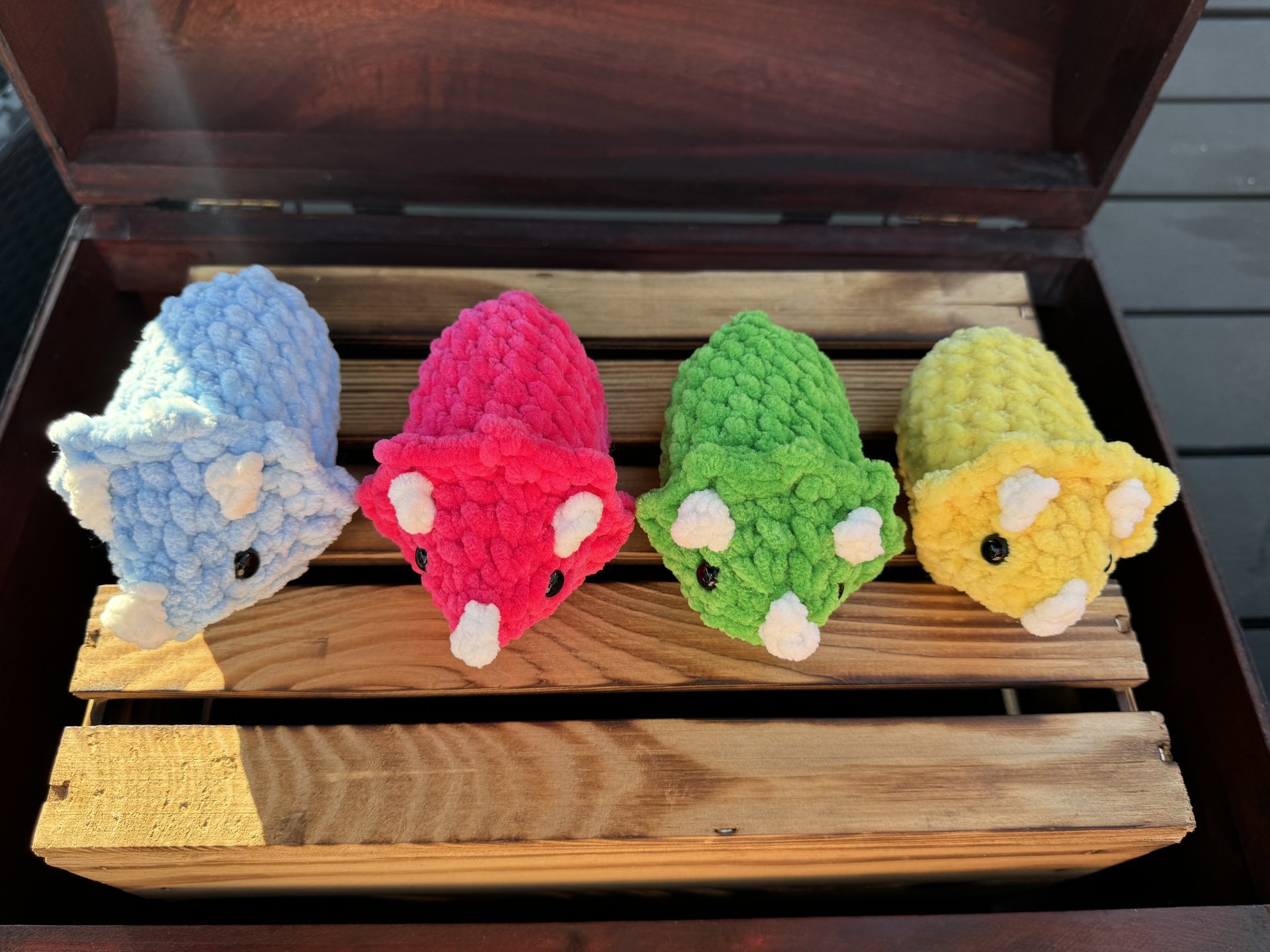 Mini triceratops