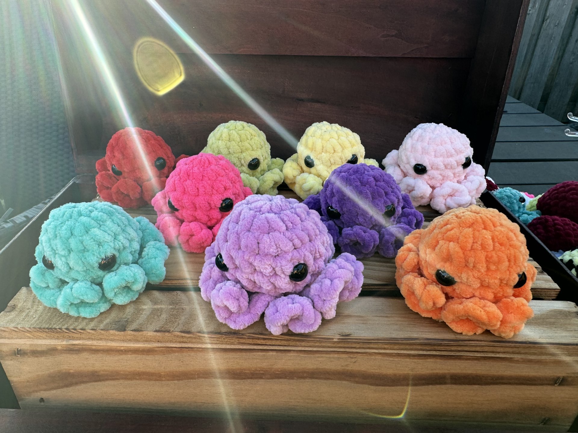 Mini octopus