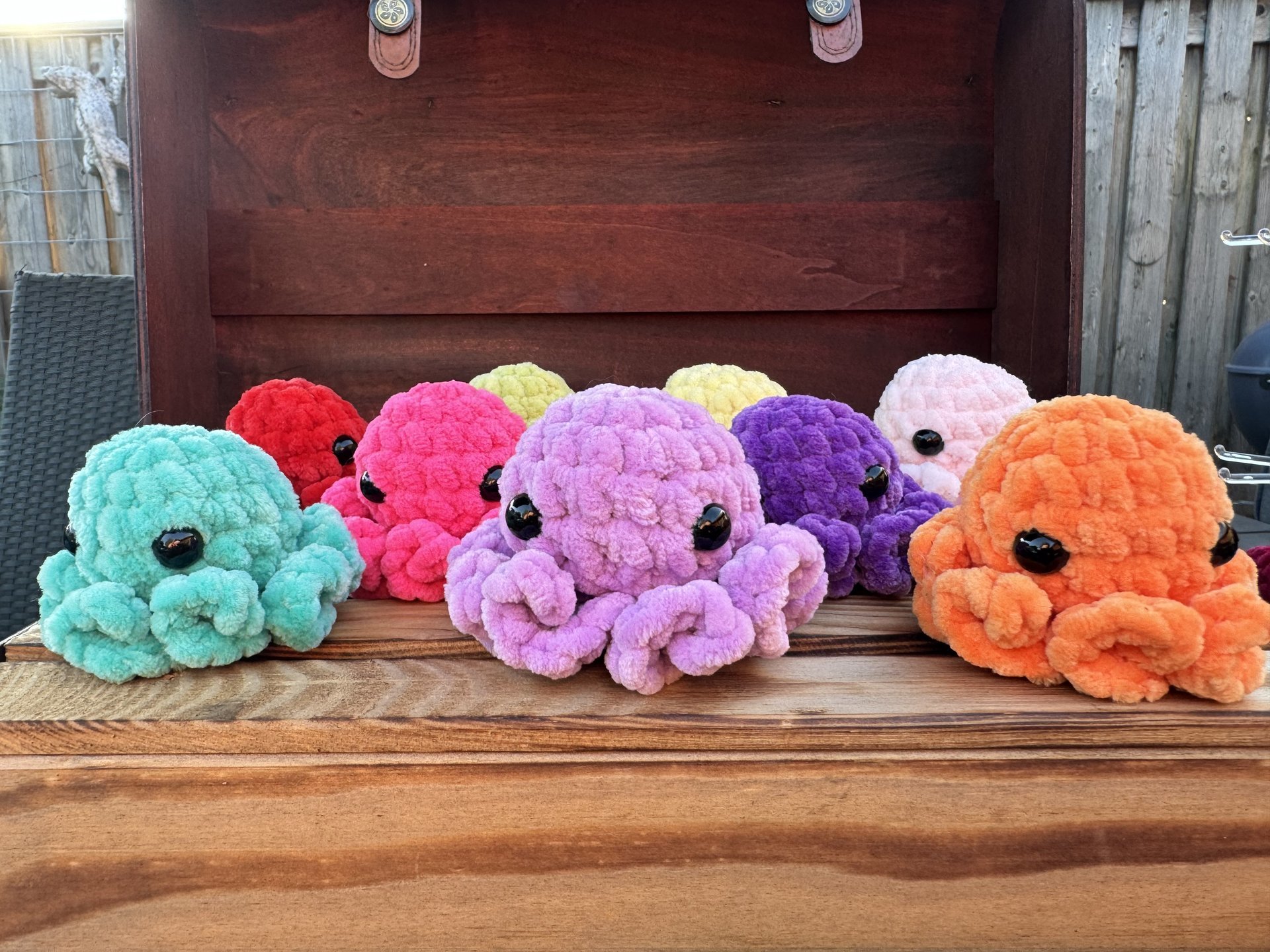 Mini octopus