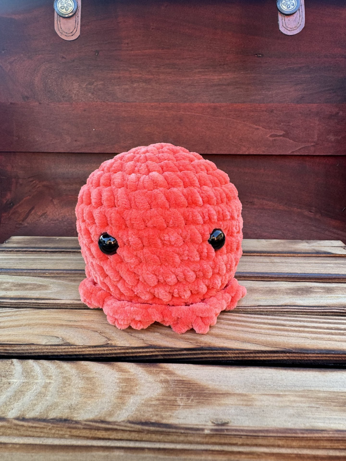 Octopus korte tentakels