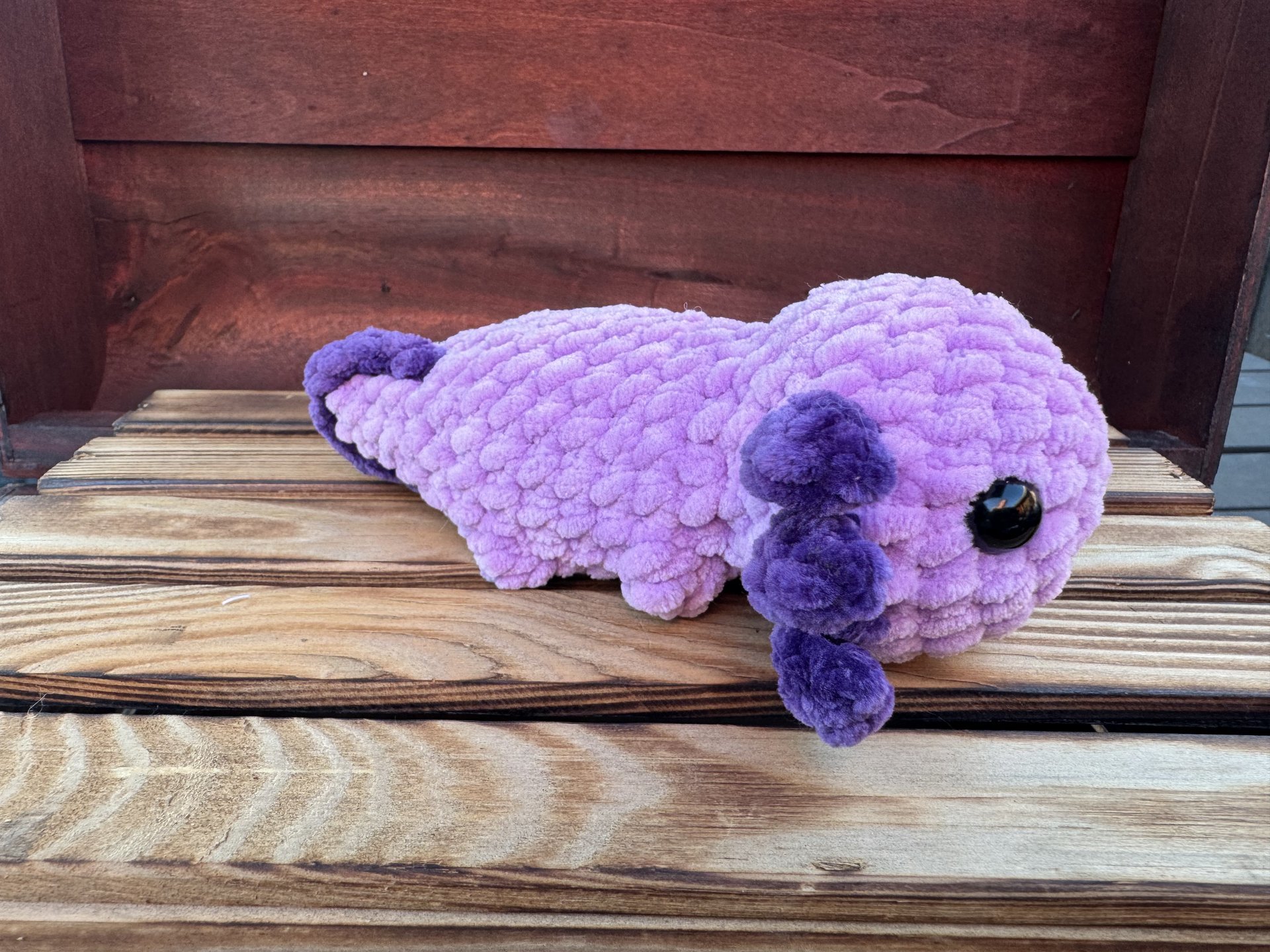 Axolotl
