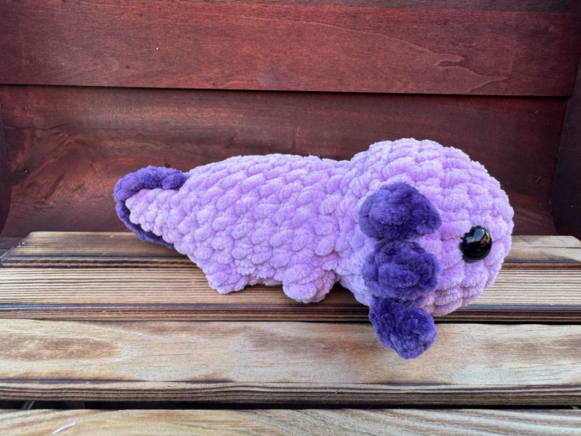 Axolotl
