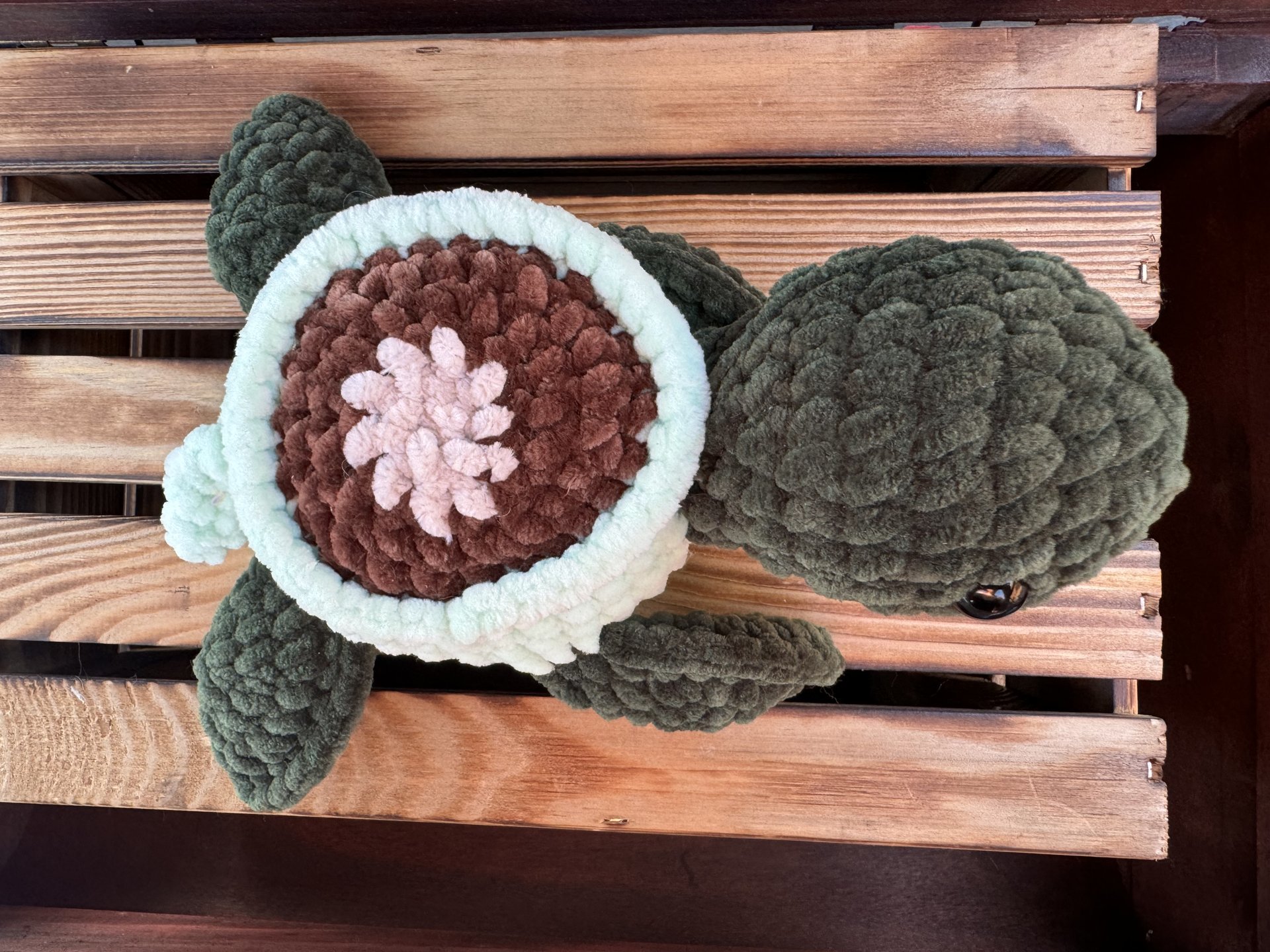 Cup Turtle