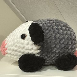 Buidelrat (Opossum)