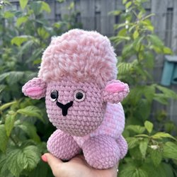 Schaap (weighted)